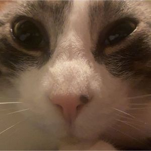 Meet your Posher, Kianna